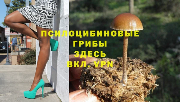 соль ск Аркадак