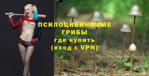 мет Заполярный